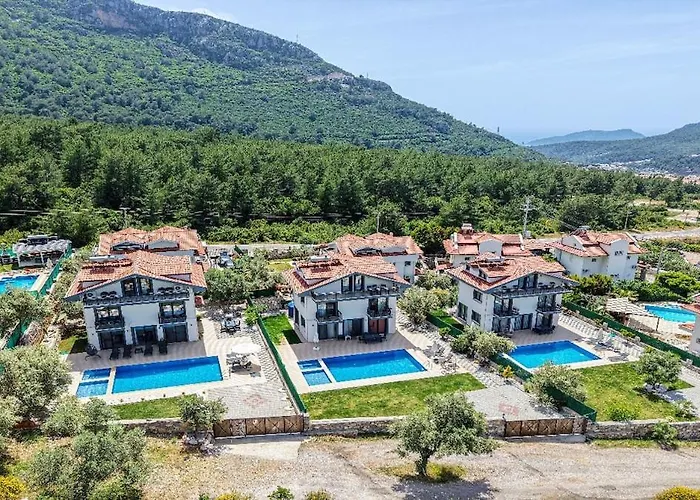 Oeluedeniz De Oezel Havuzlu Muestakil Villa Fethiye